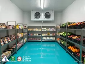 Chiller & Freezer BJT: Jaga Kesegaran & Kualitas Produk